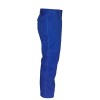Mascot Industry 12355 Trousers With Kneepad Pockets Royal Mascot Industry 12355 Trousers With Kneepad Pockets Royal
